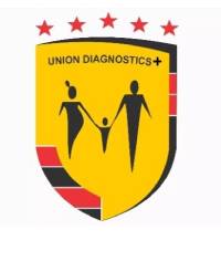 UNION DIAGNOSTIC AND CLINICAL SERVICES PLC